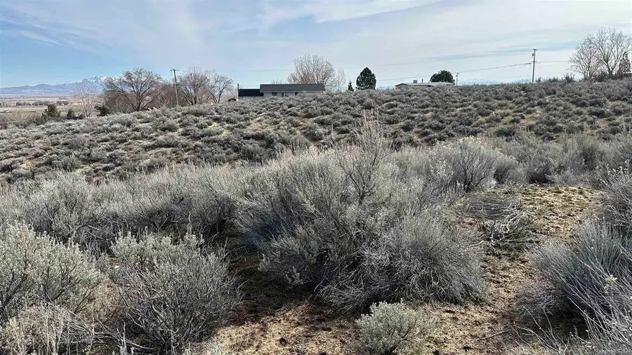 462-950 Jace Drive, Janesville, CA 96114 - Image #3