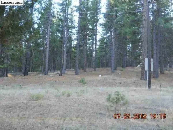 698-940 Old Scotts Logging Road, Susanville, CA 96130