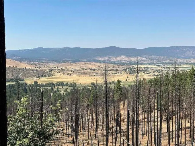 698-940 Old Scotts Logging Road, Susanville, CA 96130 - Image #3