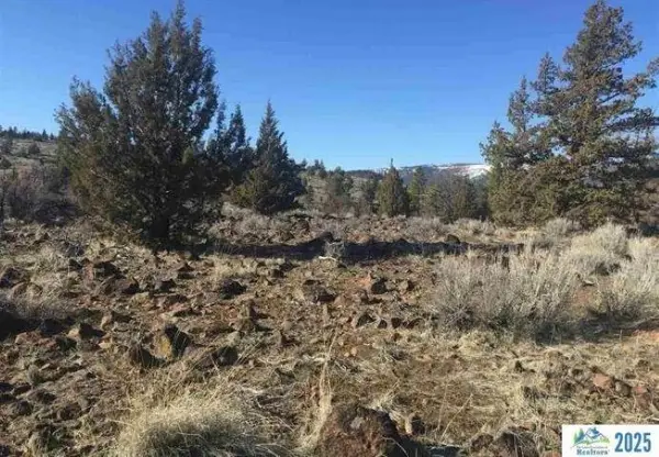 00o Cheney Creek, Susanville, CA 96130
