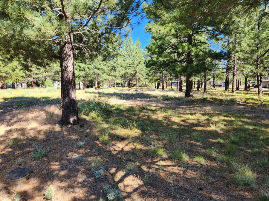 000 Hollywood Way, Susanville, CA 96130 - Image #3