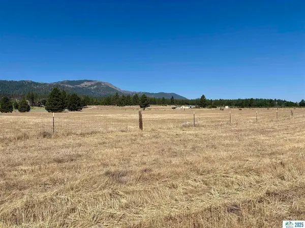 713-400 Jeters Road, Janesville, CA 96114