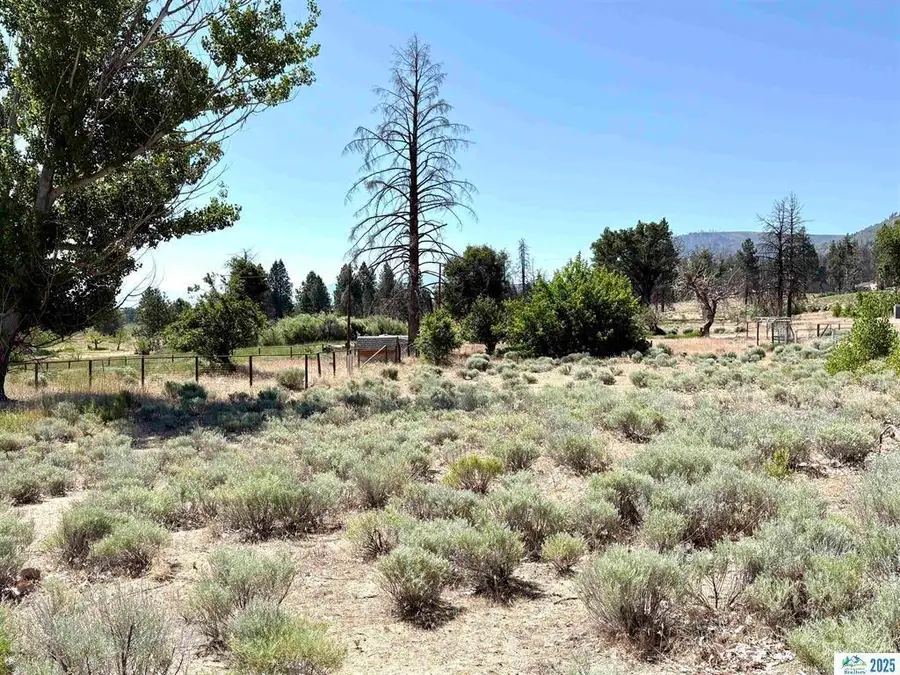 713-400 Jeters Road, Janesville, CA 96114 - Image #2