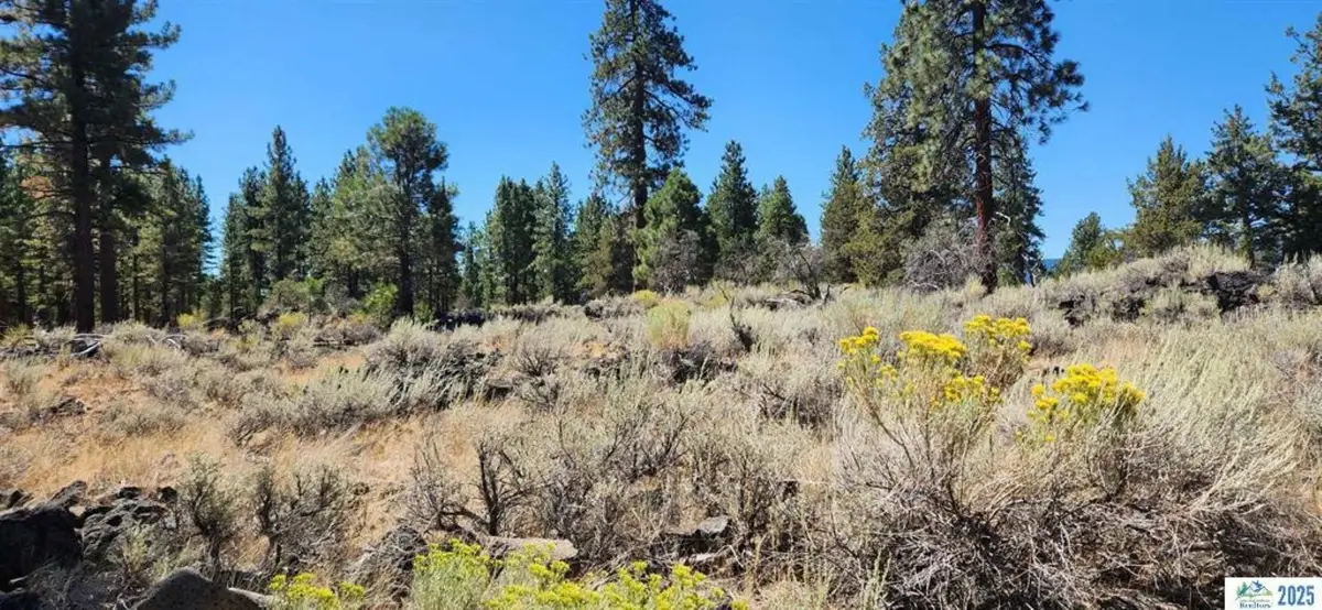 Juniper Way, Susanville, CA 96130 - Image #1