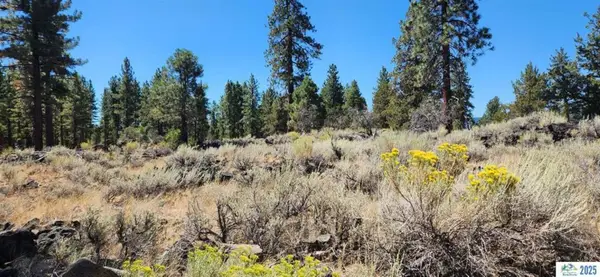 Juniper Way, Susanville, CA 96130