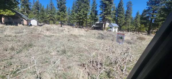 687-175 Sycamore Way, Susanville, CA 96130