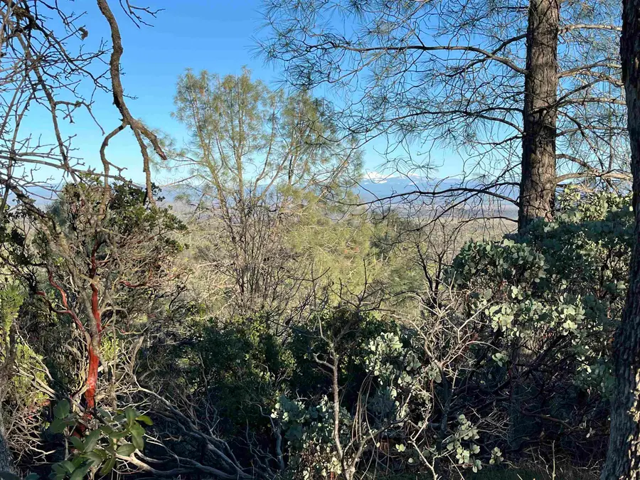 17392 Grandview Drive, Cottonwood, CA 96022 - Image #2