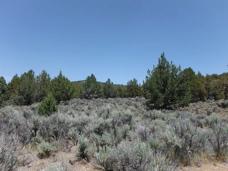 0 Tuledad Road, Ravendale, CA 96123 - Image #2