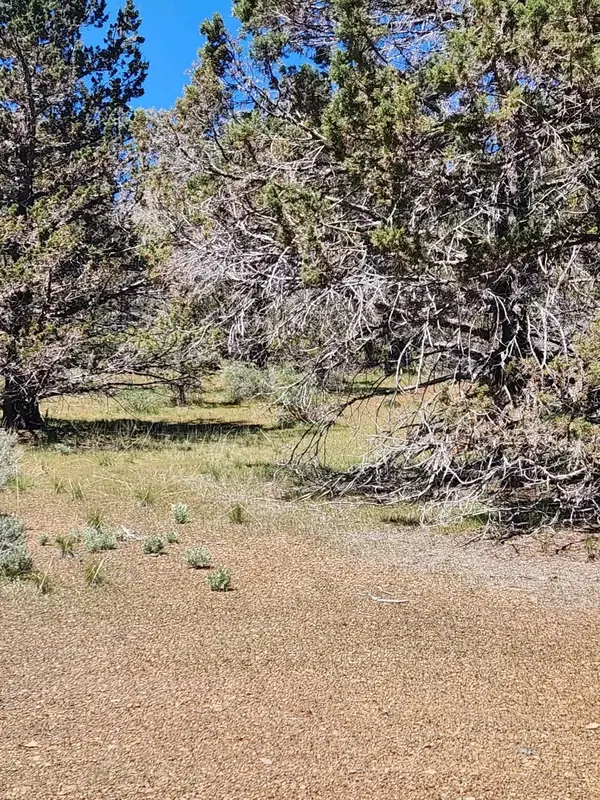 509-265 Stone, Susanville, CA 96130