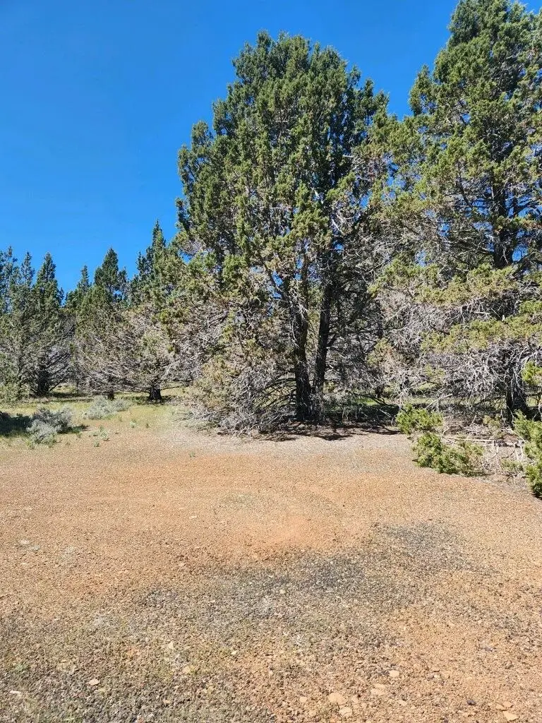 509-265 Stone, Susanville, CA 96130 - Image #2