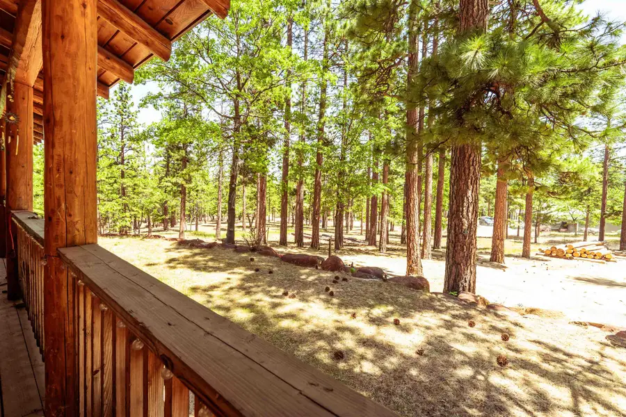 463-305 Christie Street, Janesville, CA 96114 - Image #3