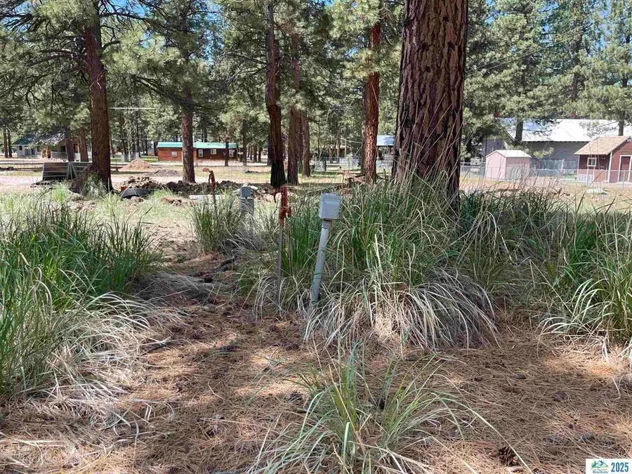 686-975 Lake View Drive, Susanville, CA 96130 - Image #2