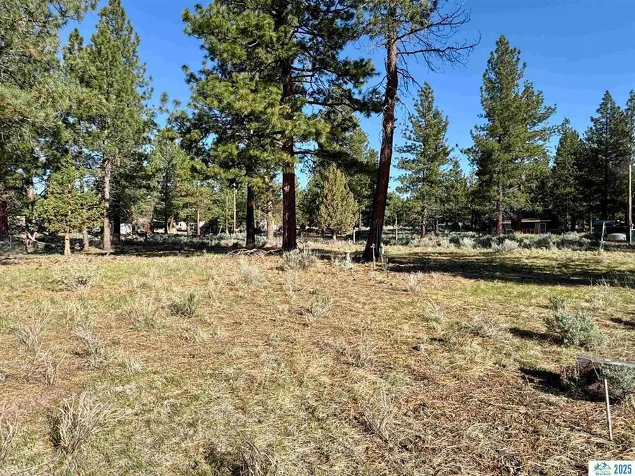 686-900 Ivy Way, Susanville, CA 96130 - #2