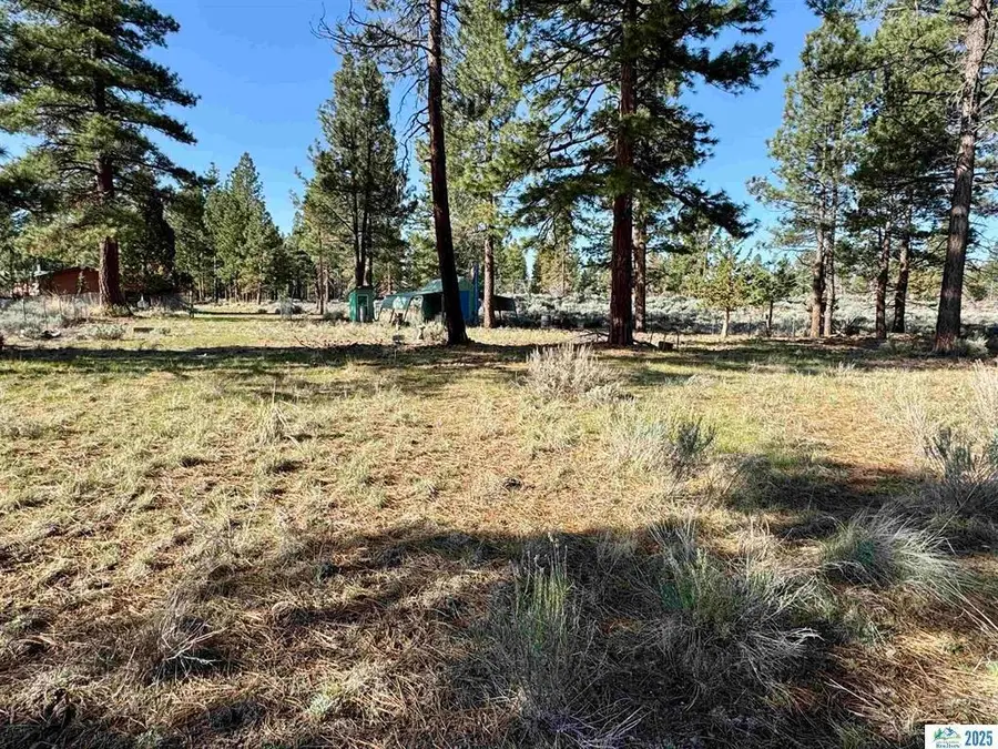 686-900 Ivy Way, Susanville, CA 96130 - #3