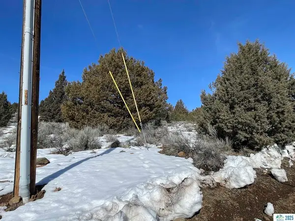 690-010 Lake Side Drive, Susanville, CA 96130