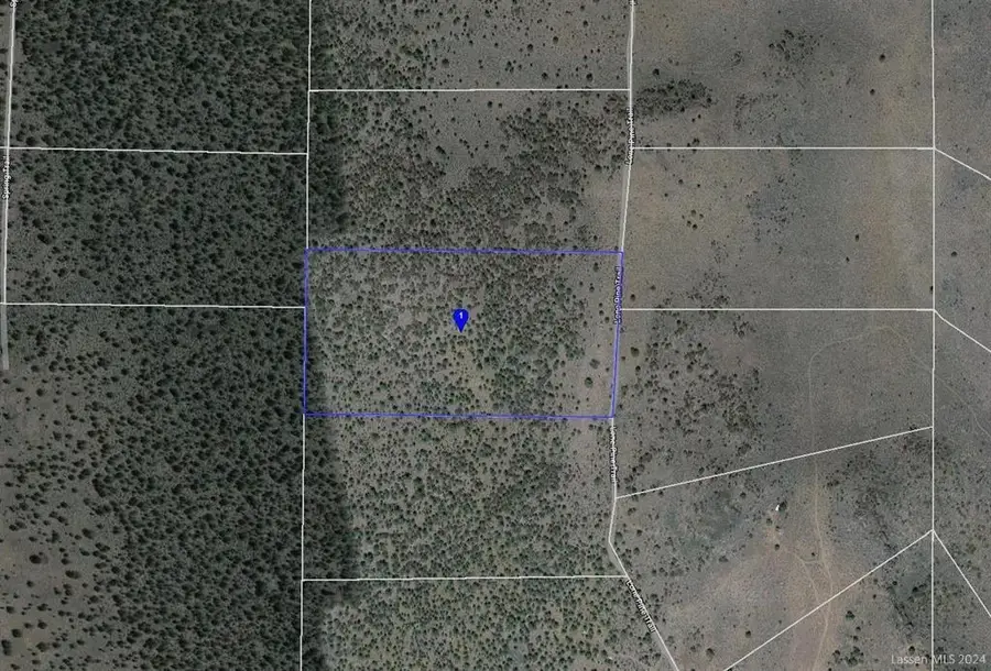 019-260-018 Lone Pine Trail, Termo, CA 96132 - Image #2