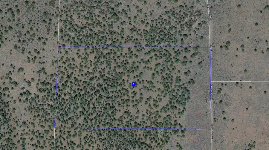 00 Lone Pine Trail, Madeline, CA 96119 - Image #3