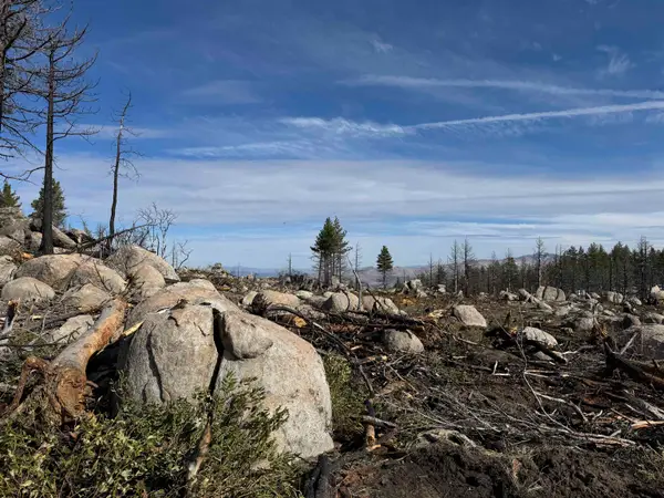 434-100 Diamond Mtn Rd, Doyle, CA 96109