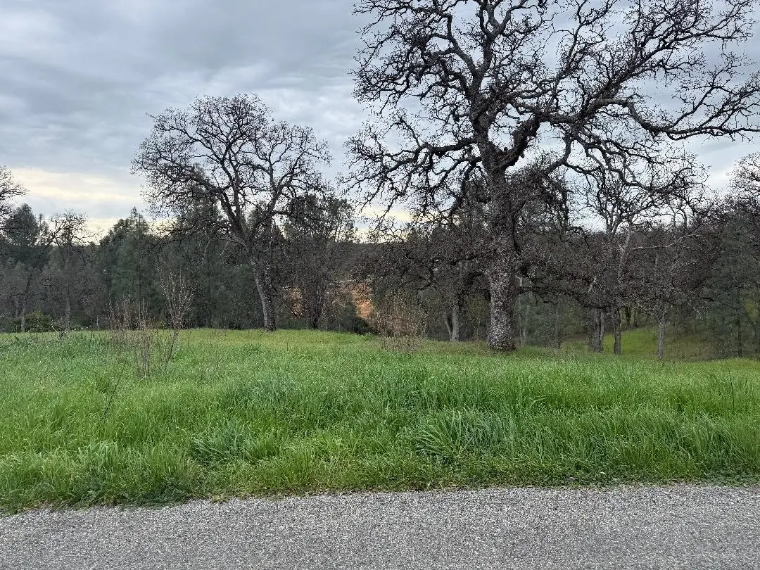 17107 Muledeer Drive, Corning, CA 96021 - #1