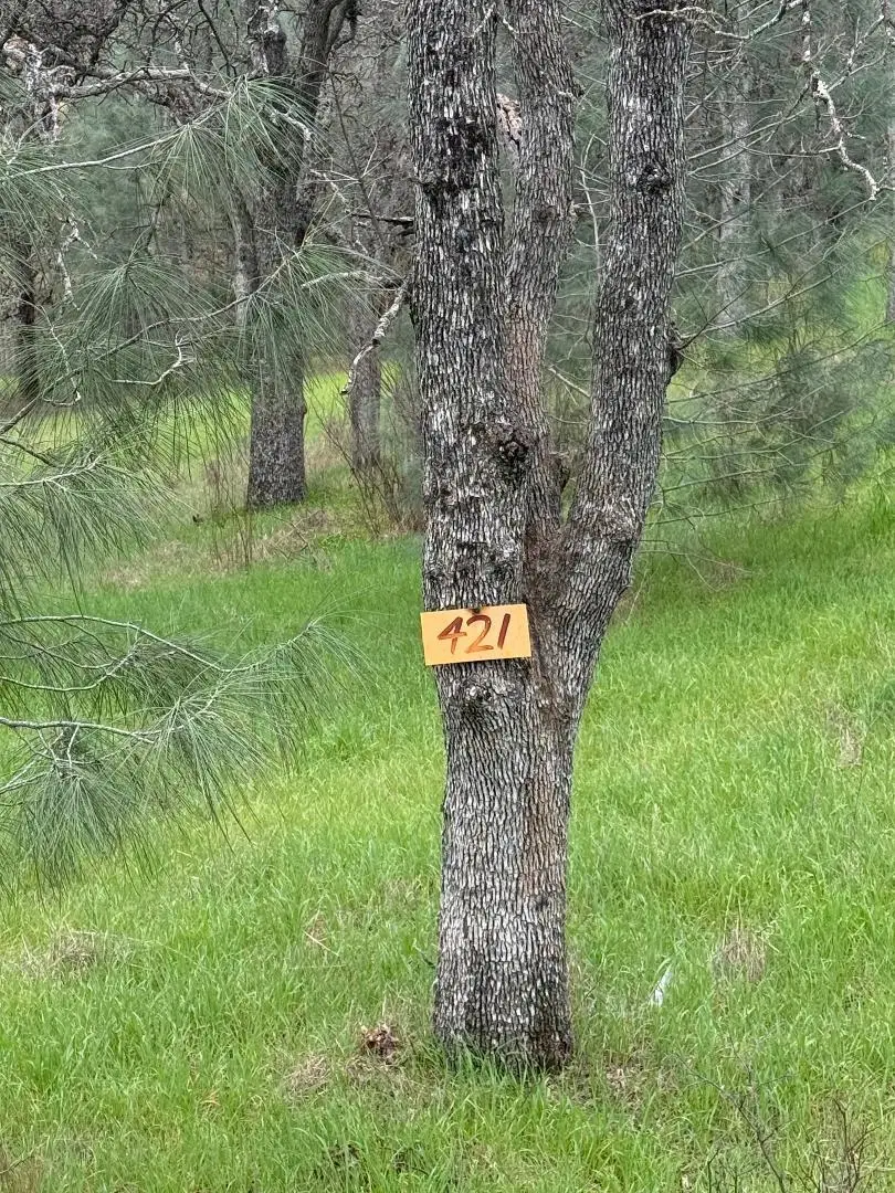 17107 Muledeer Drive, Corning, CA 96021 - #3