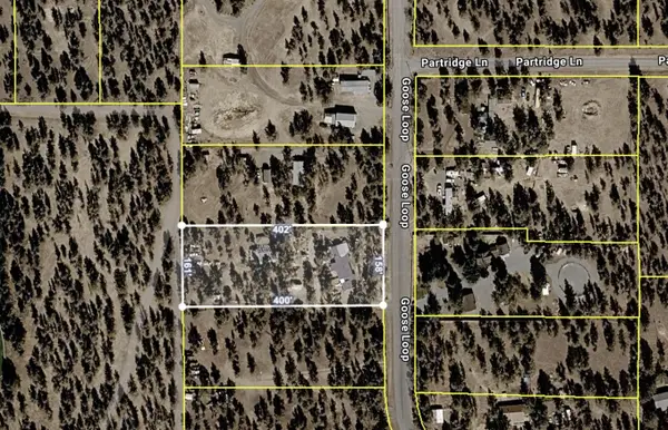 945 Gooseloop Dr, Alturas, CA 96101