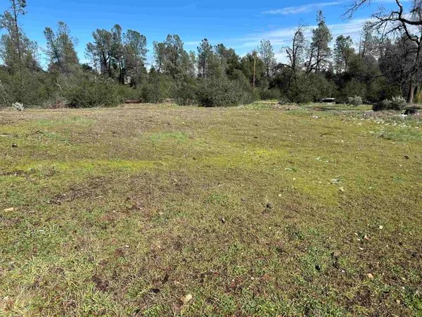 10266 White Star Dr, Redding, CA 96001