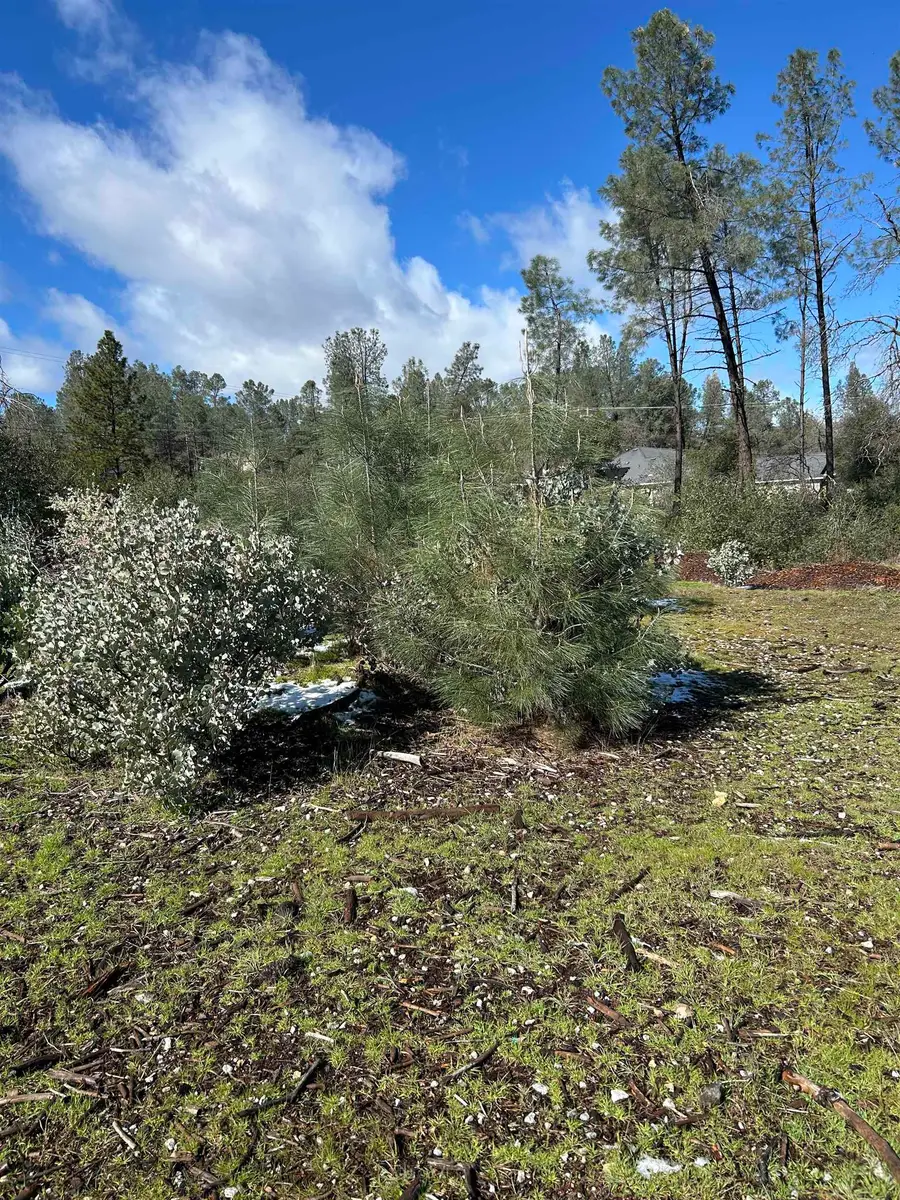 10266 White Star Dr, Redding, CA 96001 - #2