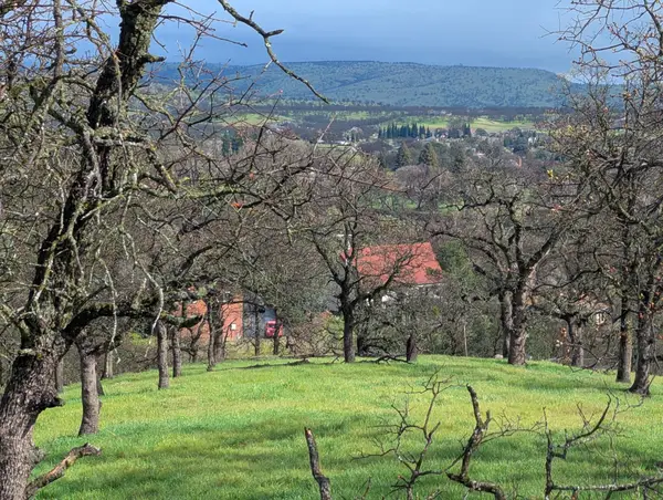 000 Knob Hill Place, Red Bluff, CA 96080