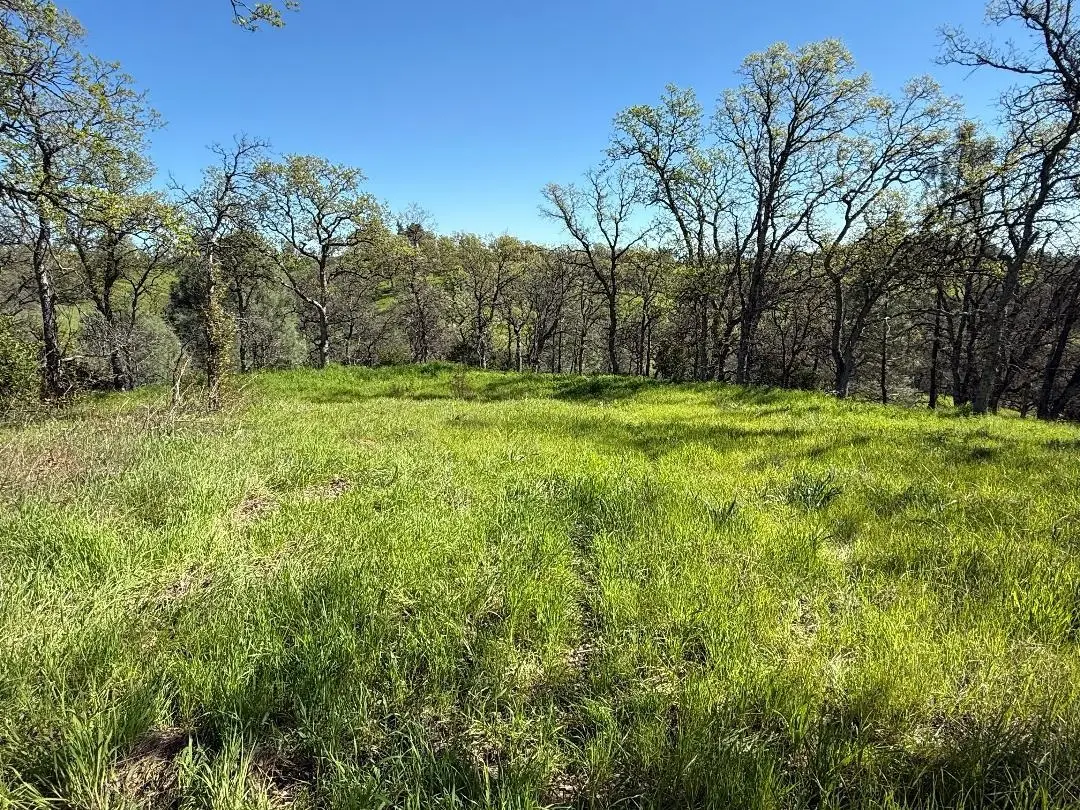 16438 Longhorn Lane, Corning, CA 96021 - #1