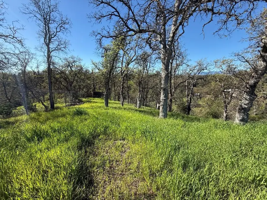 7131 Coyote Point, Corning, CA 96021 - #2