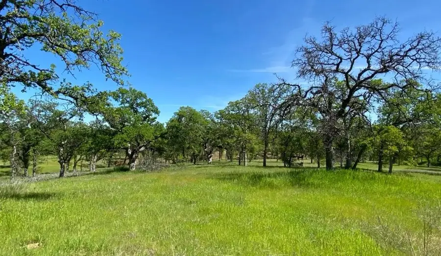 3.62 Acres Deer Crest Trail, Cottonwood, CA 96022 - #3