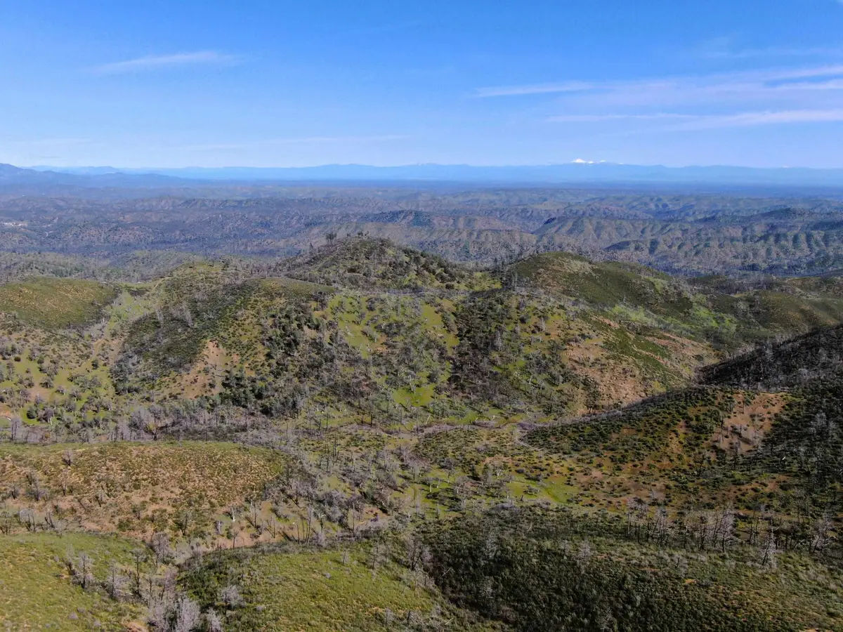 00 Tedoc Road, Red Bluff, CA 96080 - #1