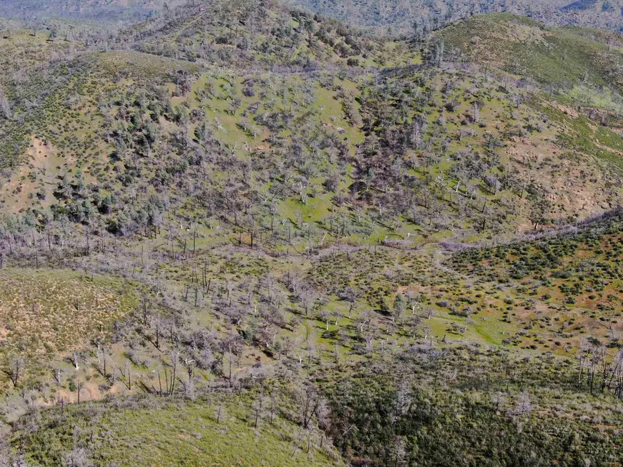 00 Tedoc Road, Red Bluff, CA 96080 - #2