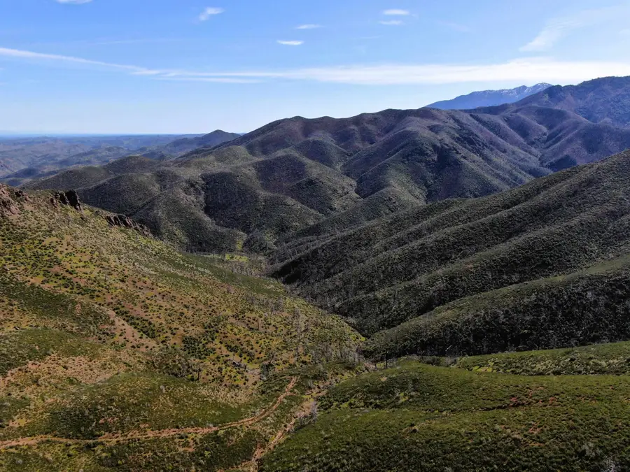 00 Tedoc Road, Red Bluff, CA 96080 - #3