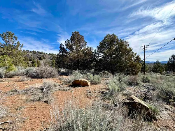 690-010 Lake Side Drive, Adin, CA 96130