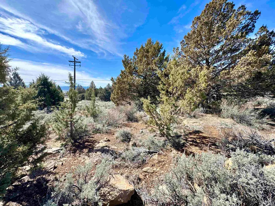 690-010 Lake Side Drive, Susanville, CA 96130 - #2