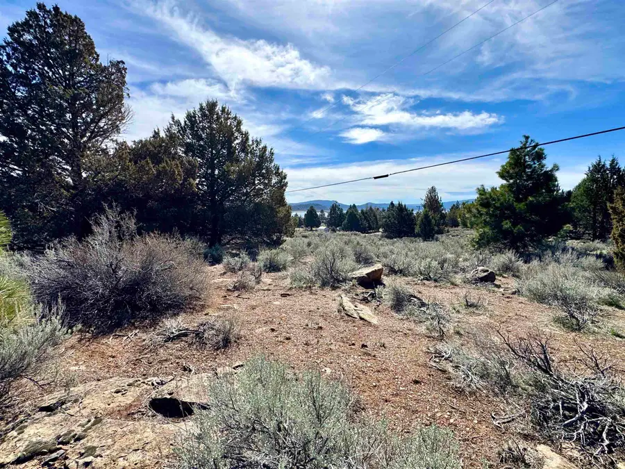 690-010 Lake Side Drive, Susanville, CA 96130 - #3