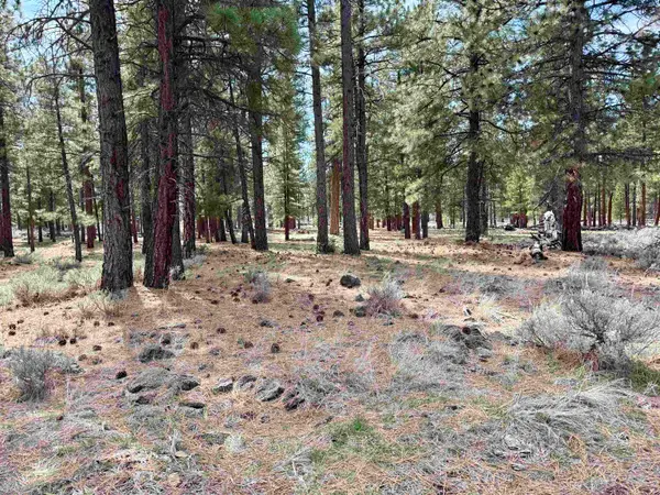 502-575 Pinon Way, Susanville, CA 96130