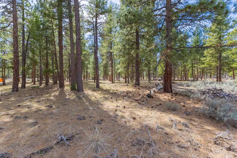 502-575 Pinon Way, Susanville, CA 96130 - #2