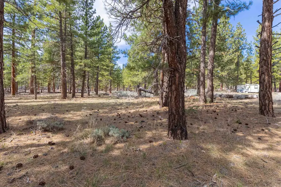 502-575 Pinon Way, Susanville, CA 96130 - #3