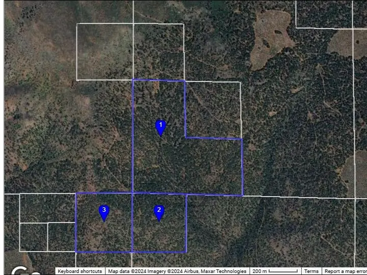 0 Paiute Ln, Susanville, CA 96130 - #1
