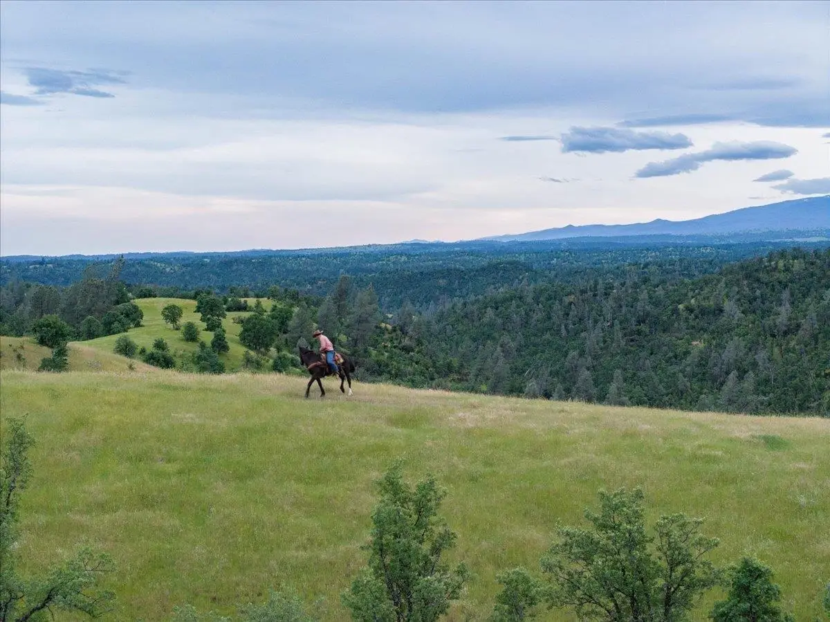 00 Hwy 36 W, Red Bluff, CA 96080 - #1