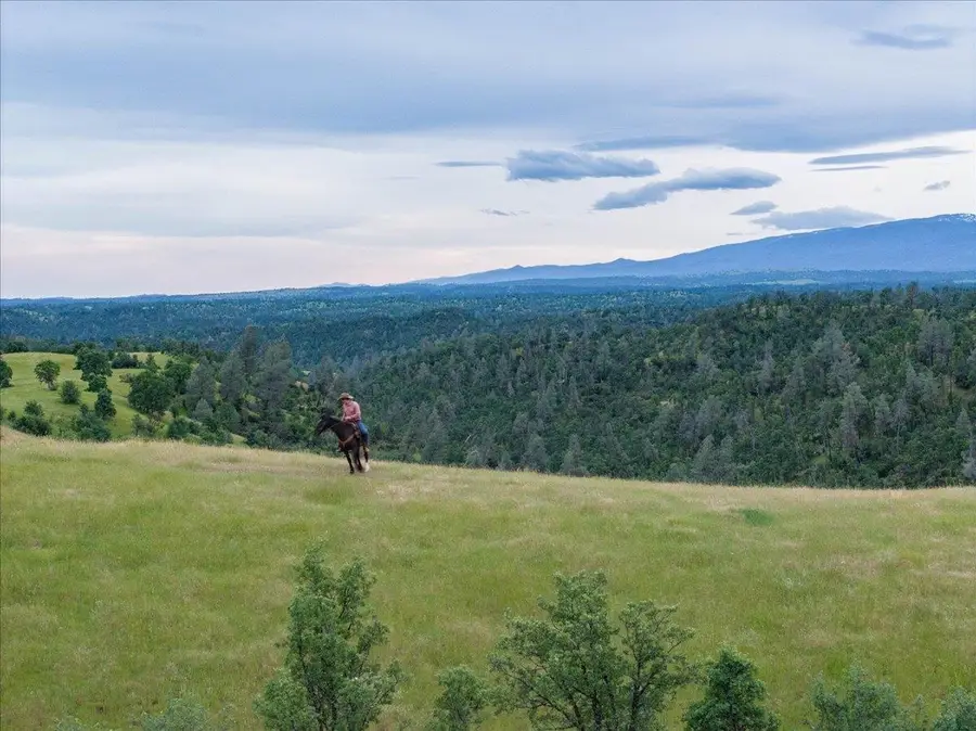 00 Hwy 36 W, Red Bluff, CA 96080 - #2