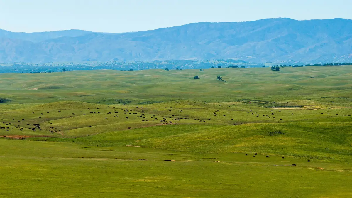 00 Rancho Tehama Rd., Rancho Tehama Reserve, CA 96021 - #1