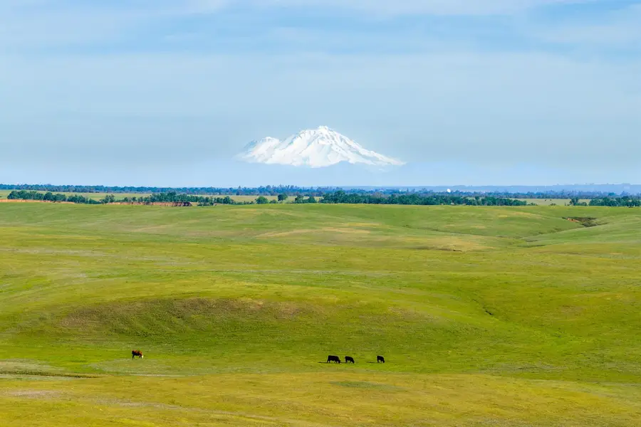 00 Rancho Tehama Rd., Rancho Tehama Reserve, CA 96021 - #2