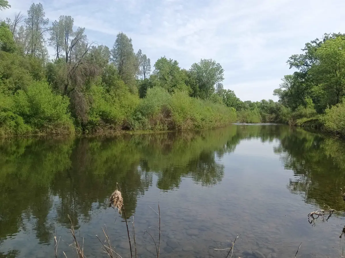 0000 Aoudad Drive, Anderson, CA 96007 - #1