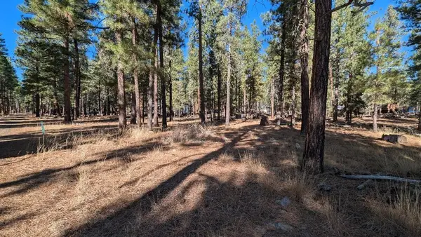 0 Almond Way, Susanville, CA 96130