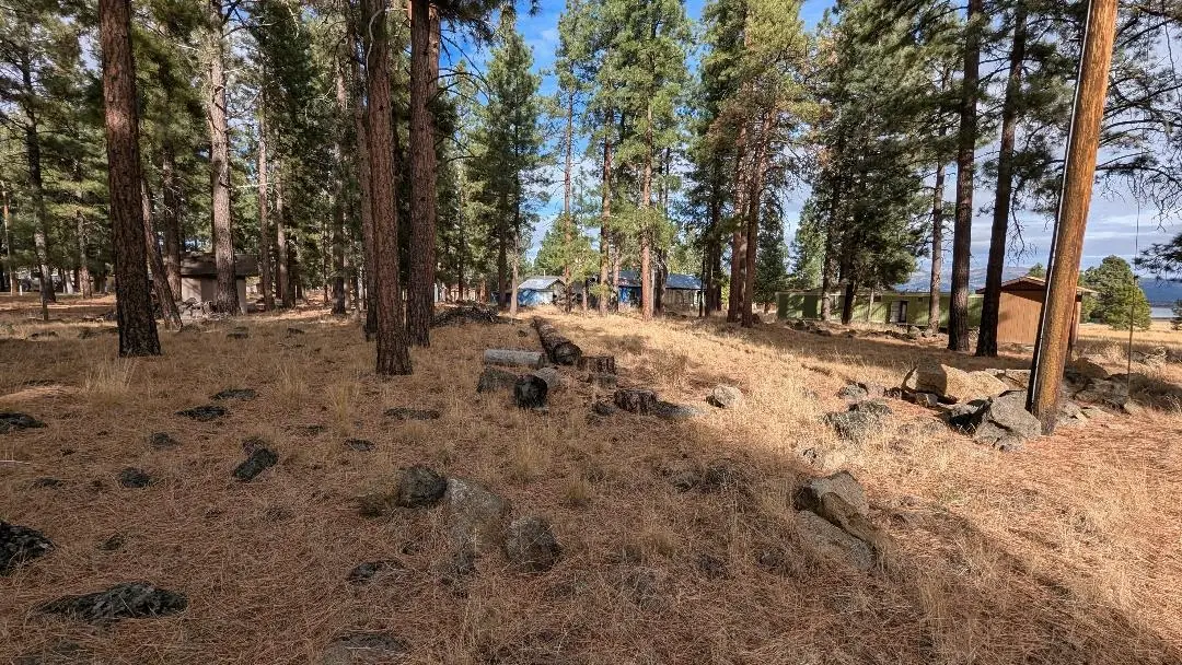 687-930 Hazel Way, Susanville, CA 96130 - #1