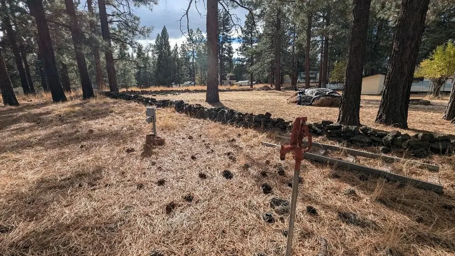 687-930 Hazel Way, Susanville, CA 96130 - #2