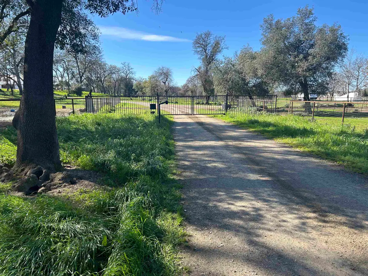 12585 Wilder Road, Red Bluff, CA 96080 - #1